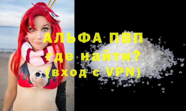 винт Лагань