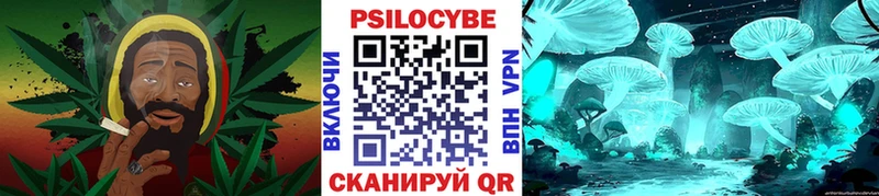 darknet официальный сайт  Кировград  Галлюциногенные грибы Psilocybe 